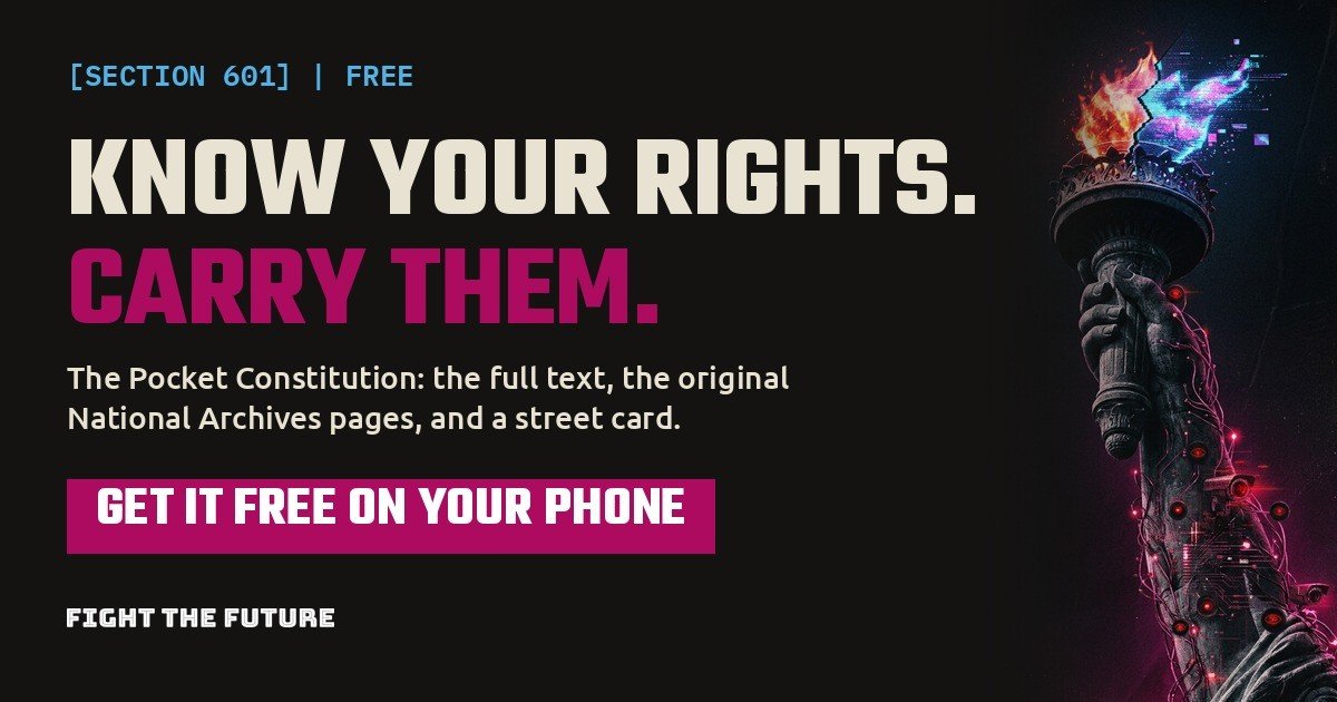 The Pocket Constitution, the free guide from Fight The Future