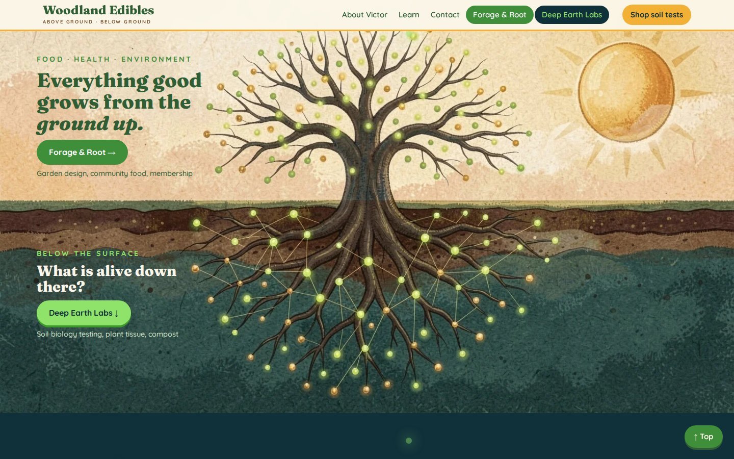 The Woodland Edibles home page: Everything good grows from the ground up, with a tree above and below the soil line